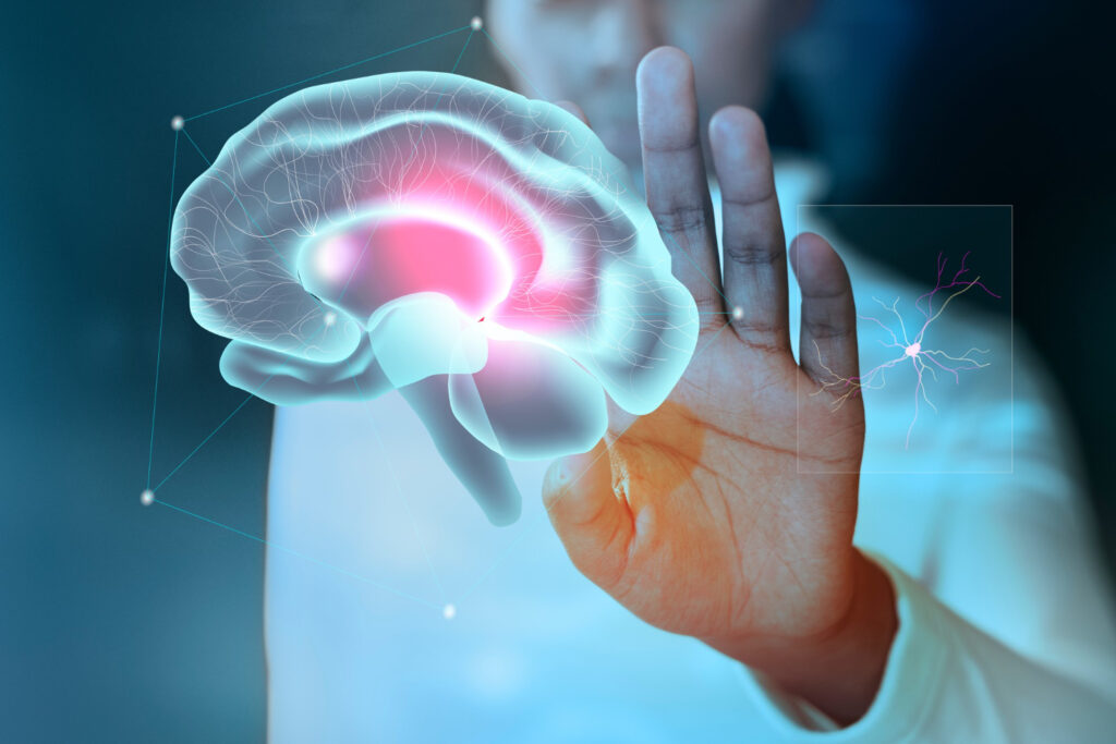 o Clinical Neurodynamics International Workshops